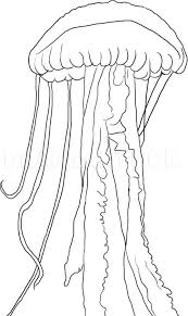 2.draw a tentacle at the bottom of your body. How To Draw A Jellyfish Step By Step Drawing Guide By Dawn Dragoart Com