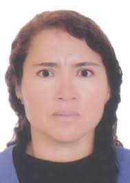 Ingresos de Otorongos Elecciones 2022