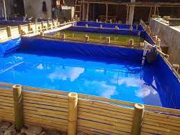 Lebih bagus untuk penerapan tebar bibit ikan sehingga lebih padat kapasitas bibitnya, apabila ditambah aerasi maka. Kolam Ikan Terpal Mini Tentang Kolam Kandang Ternak