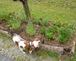 A new, easy way to get landscaping in greensboro. Pin On Greensboro Nc