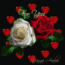 free online image editor rose rose petals flower wallpaper