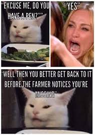 Pin By Omg Someone Actually On Karen Vs Smudge Similar In 2020 Clean Funny Jokes Funny Grumpy Cat Memes Jokes Pics