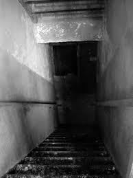 A stylized bird with an open mouth, tweeting. The Basement Scary Stories