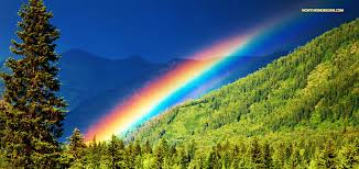 Image result for images rainbows in the bible