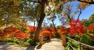 1445 ross ave, dallas, tx75202 cost: Photo Shoots Dallas Arboretum And Botanical Garden