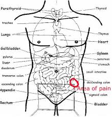 The lower left quadrant is the bottom half of the abdomen on your left side. Pin On Abdominal Pain