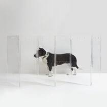 6 internet best traditional dog gate. Pet Dog Gates Wayfair