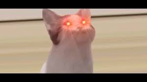 At the beginning of the game, your skills are very poor, and you don. Popcat Hack 10 000 Klikova Po Sekundi Youtube