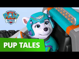 Die paw patrol vereint heldenmut, coole fahrzeuge mit ganz viel niedlichem humor. Paw Patrol La Pat Patrouille Francais Il Neige Sur La Jungle