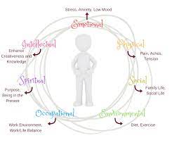 We did not find results for: The Benefits Of An Holistic Approach To Health Rowan House Centre