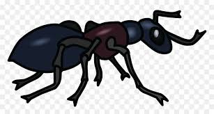 Transparent Ant Clipart Black And White Ant Clip Art Hd Png Download Vhv Collection of ants cliparts (48). white ant clip art hd png download