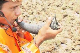 Pupuik batang padi merupakan alat musik sederhana yang berasal dari. Pupuik Tanduak Si Tanduk Kerbau Pengundang Warga Indonesia Kaya