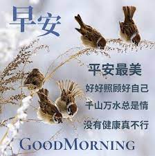 pin by cheah teng kwang on 名言名句 good morning greetings morning greeting good morning picture