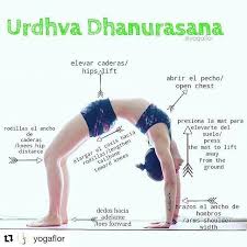 Image By Urdhva Dhanurasana Upward Bow Pose Or Chakrasana Wheel Pose On Yogaalignment Yogatips With Y Posturas De Yoga Ejercicios De Yoga Ejercicios