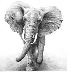 Silly Easter Joke Teller For Kids Bren Did In 2021 Elephant Sketch Elephant Tattoos Elephant Tattoo Design