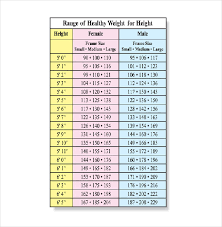 height weight chart template 11 free word excel pdf