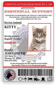 Maybe you would like to learn more about one of these? Amazon Com Holographic Custom Emotional Support Animal Feline Cat Id With Registration To Service Animal Registry Qr Code Ready Pet Supplies