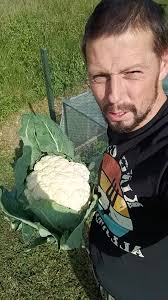Massive Cauliflower