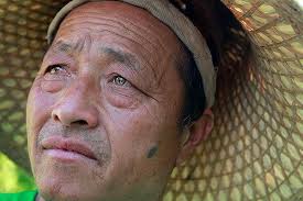 Fruit trees for the future