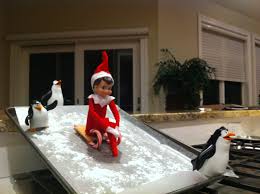 day 9 sledding outside or in freezer cracker 2 small candy canes iced cookie sheet wax paper penguin toys elf elf on the shelf christmas elf pinterest