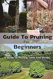 Guide To Pruning For Beginners: A Guide... book by Melissa Hammock