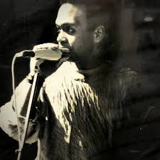 David Gage String Instruments (@davidgagestrings) • Instagram photos and  videos