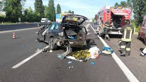 Comfort,sicurezza e privacy per la vostra 4 ruote. Auto Investe Capriolo In A14 A Bologna Due Feriti Emilia Romagna Ansa It