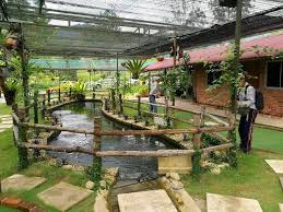 Bu pansiyon misafirlere ücretsiz otopark, çocuk havuzu ve barbekü ızgaraları sunuyor. Lovely Homestay Janda Baik Bentong Malaysia Booking Com