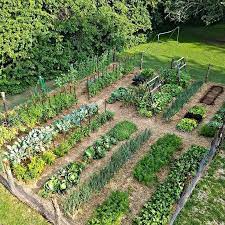 clique na imagem para aprender passo a passo como plantar e cultivar uma horta organica design de jardin potager faire un jardin jardin potager