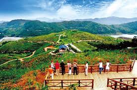 第四，华南热带景观旅游区。 包括广东省，台湾省，福建省。 主要观光地有：广州，福州，厦门，海南岛风光，厦门经济特区等等。 第五，西南岩溶地貌旅游区。 岩溶形成的奇山水成为这里的主要特色。 这里是少数民族杂居的地区。 这个旅游区主要观光内容有. å¤§å¸½å±± é¦™æ¸¯å±±å³° å¤´æ¡ç™¾ç§'