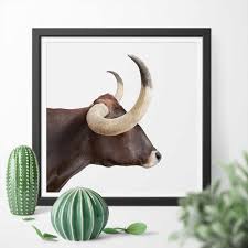 From home decor, belts, sunglasses to leanin' tree greeting cards, longhorn has it all! Longhorn With Horns Art Canvas Poster Print Wall Art Cattle Animal Canvas Paintings For Home Decor No Frame Painting Calligraphy Aliexpress