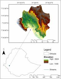 Image result for Astropanax myrianthus