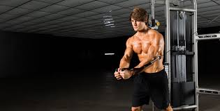 jeff seid at home in the zone fitplan