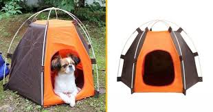 Un chenil pour chien est un abri extérieur, qui vous permet de laisser votre chien dans le jardin sans qu'il soit dérangé par les intempéries. Top 20 Des Tentes De Camping Les Plus Originales Et Insolites Topito Camping Camping Tente Tentes