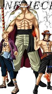 Pin On Whitebeard