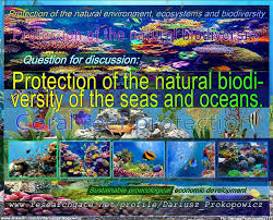 What Are The Examples Of Changes In Marine And Ocean Ecosystems Caused By The Ongoing Global Warming Process