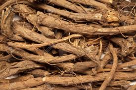 Image result for Rubia cordifolia