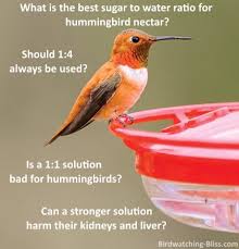 In reality, experts say has no impact on how often the birds will frequent your feeder. Hummingbird Food Recipe Make Your Own Nectar