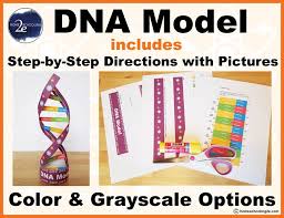 A Printable For A Paper Dna Model Designed To Create A Simple Paper Model Of The Double Helix Dna Strand For Students To Promote Hands On Learning Dna Modell
