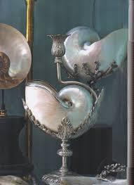 Maybe you would like to learn more about one of these? A Set Of Nautilus Shells On Silver Stands Sea Shell Decor Shell Art Coastal Beach Decor