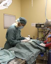 Full service, veterinary emergency, surgery and specialty clinic in columbia, south carolina. In An Emergency Emergency Vet Clinic In Brampton Highway 10