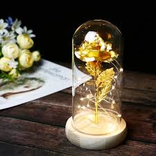 In the philippines, that was part of the spanish empire for a long time, a large number of baroque constructions are preserved, including the baroque churches of the philippines that four of these, and the baroque and neoclassical city of vigan, are both unesco world heritage sites. Preserved Flower In Glass Dome Shop Preserved Flower In Glass Dome With Great Discounts And Prices Online Lazada Philippines