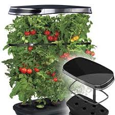 While currently somewhat low, they are. Indoor Cherry Tomato Growing Kit With Led Lights