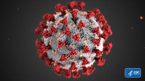 However, in december 2019, a new type of coronavirus was first documented in w. Cat Tests Positive For Coronavirus In Michigan Mlive Com
