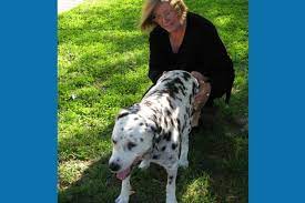 10 Tips And Exercises For Dogs With Vestibular Disease Dr Buzby S Toegrips For Dogs