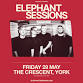 Elephant Sessions event image