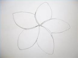 How To Draw Hawaiian Flowers Step By Step Diy Flowers Diy Draw Flowers Hawa Diy Draw Flowers In 2020 Flower Drawing Hawaiian Flowers Hawaiian Flower Drawing