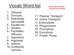 This activity packet really helps students understand the sodium potassium learning english for kids. Vocab Word List 11 Passive Transport 12 Active Transport Ppt Video Online Download