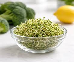 Sulforaphane Benefits: What the Evidence Says (NZ Guide) – Kiwi Superfoods  Ltd