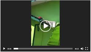 Bringing diversity, equity, and inclusion (dei) to the hybrid workplace Video Pencuri Melekat Di Atas Bumbung Apabila Tuan Rumah Amalkan Ayat Pendinding Al Quran Mysyiok Tv